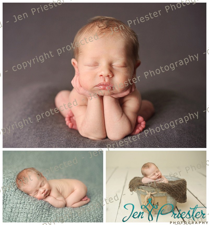 Brighton Michigan Newborn Photographer