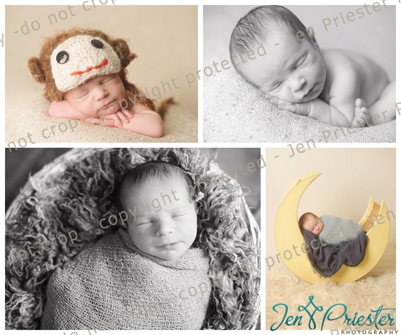 Grand Blanc Michigan Newborn Photographer