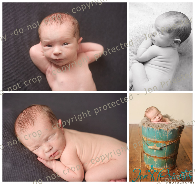 Grand Blanc Michigan Newborn Photographer