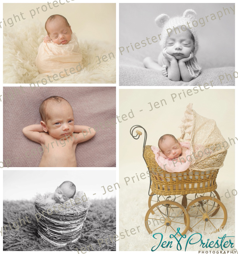 Dearborn Michigan Newborn Photographer