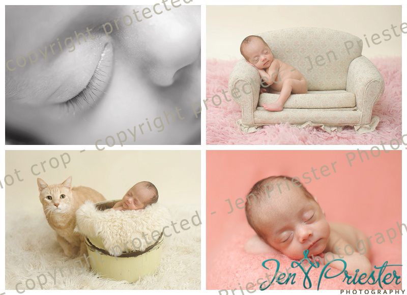 Dearborn Michigan Newborn Photographer