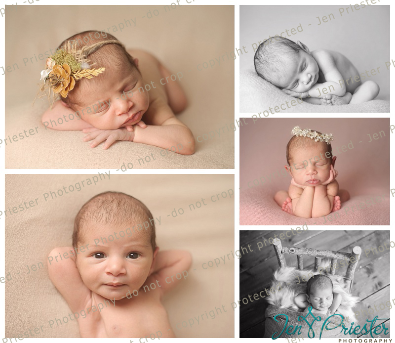 Birmingham Michigan Newborn Photographer