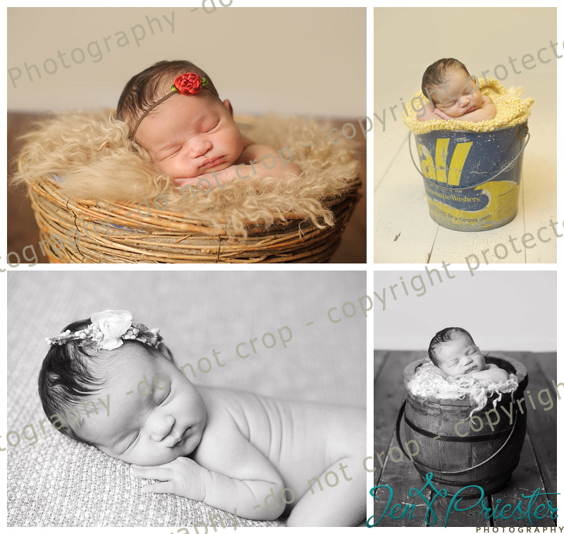 Royal Oak Michigan Newborn Photographer