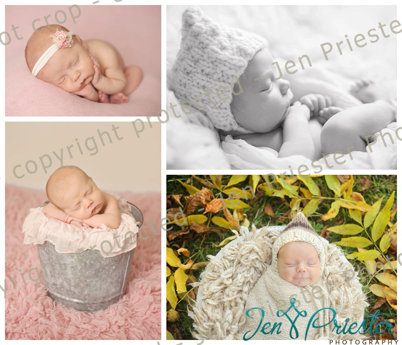 Grand Blanc Michigan Newborn Photographer