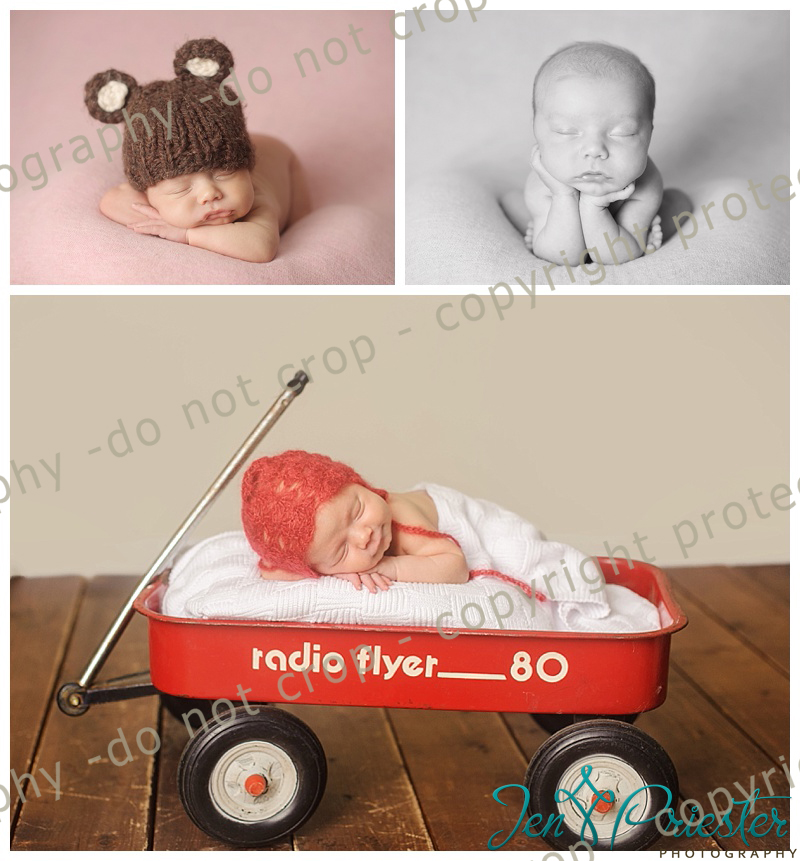 Grand Blanc Michigan Newborn Photographer