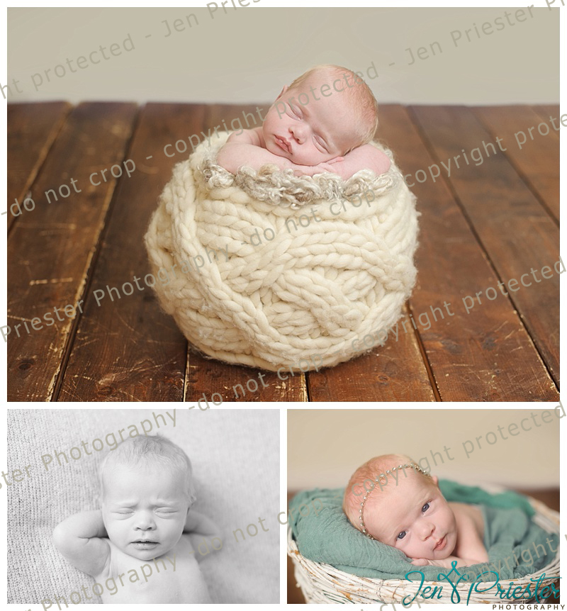 Royal Oak Michigan Newborn Photographer