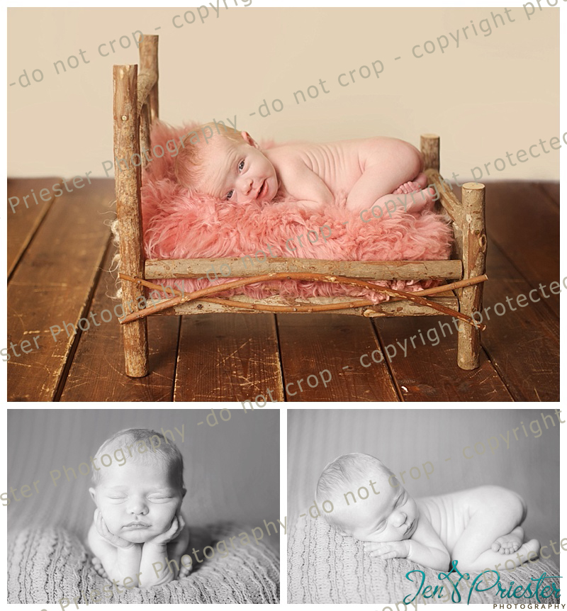 Royal Oak Michigan Newborn Photographer