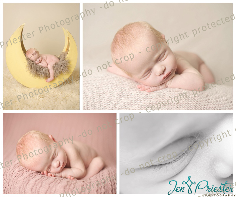 Royal Oak Michigan Newborn Photographer
