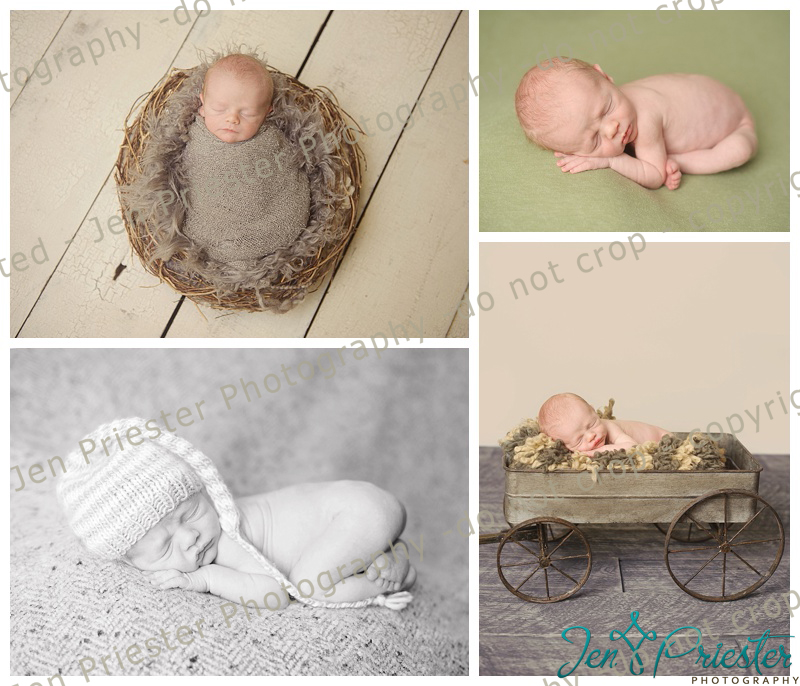 Ann Arbor Michigan Newborn Photographer