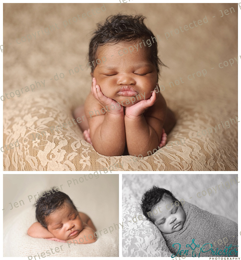 South East Michigan Newborn Photographer