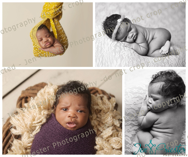 South East Michigan Newborn Photographer