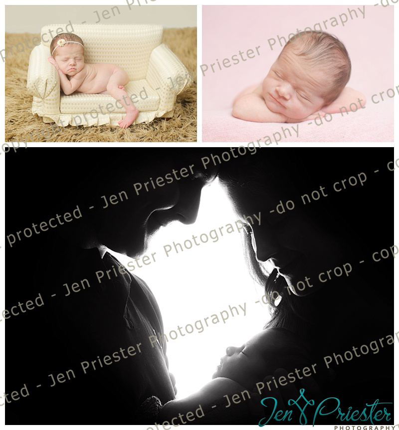 Detroit Metro Michigan Newborn Photographer
