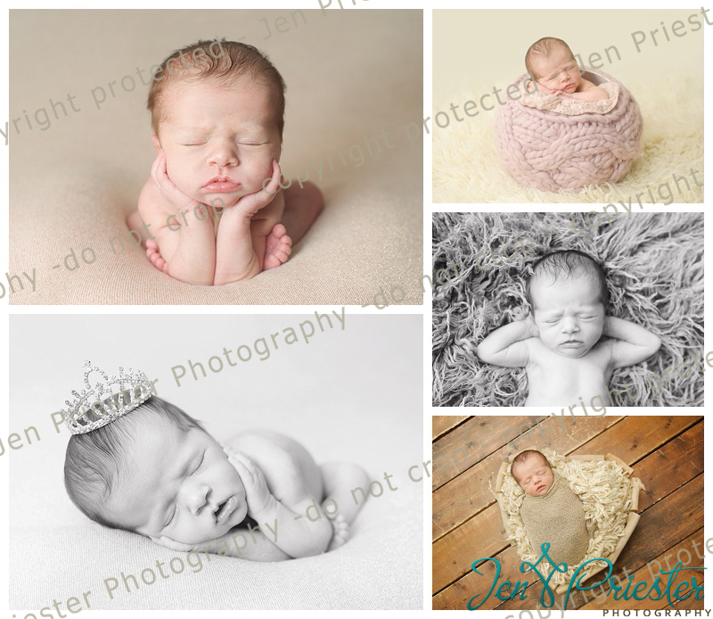 Detroit Metro Michigan Newborn Photographer