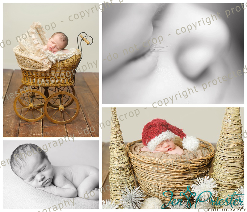 Detroit Metro Michigan Newborn Photographer