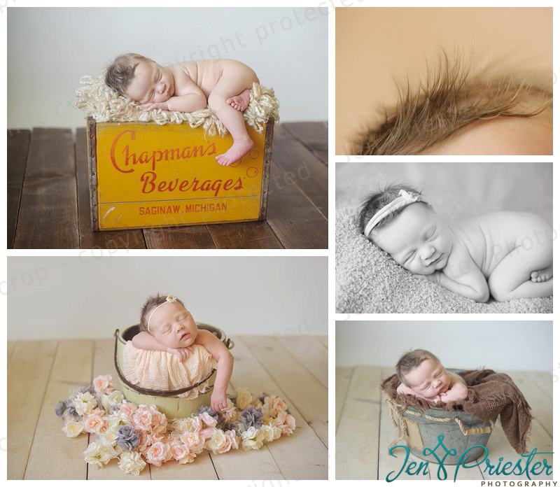 Canton Michigan Newborn Photographer
