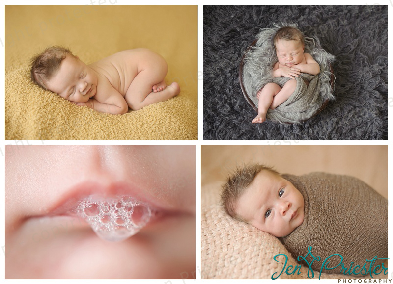 Canton Michigan Newborn Photographer