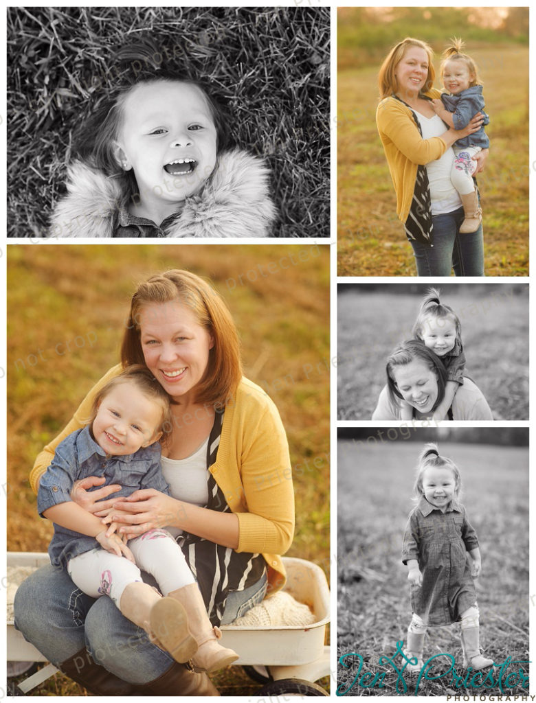 Canton Michigan Family and Baby Photographer