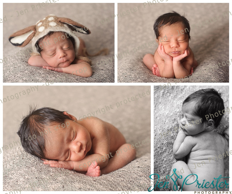 Sterling Heights Michigan Newborn Photographer
