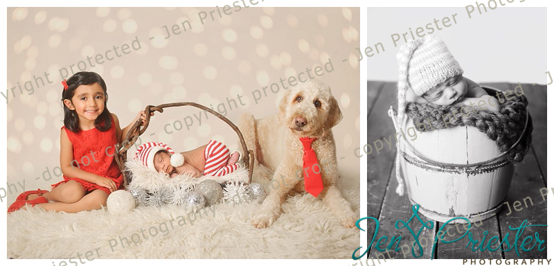 Sterling Heights Michigan Newborn Photographer