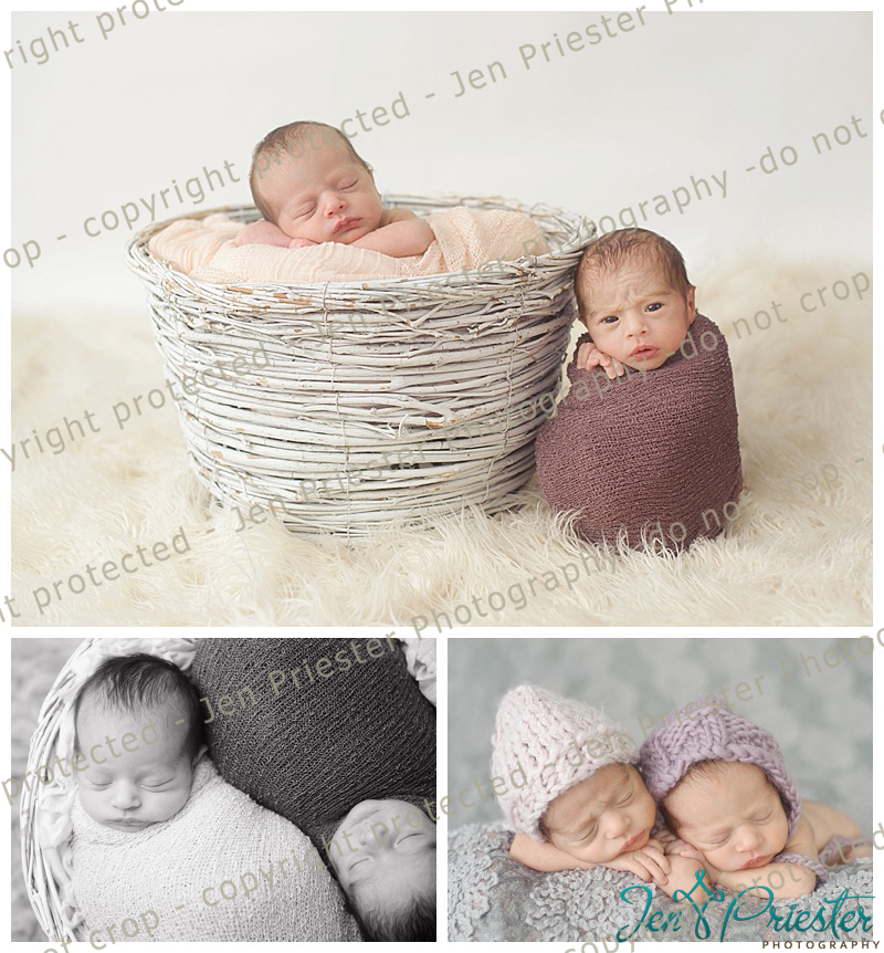 Ann Arbor Newborn Twin Photographer