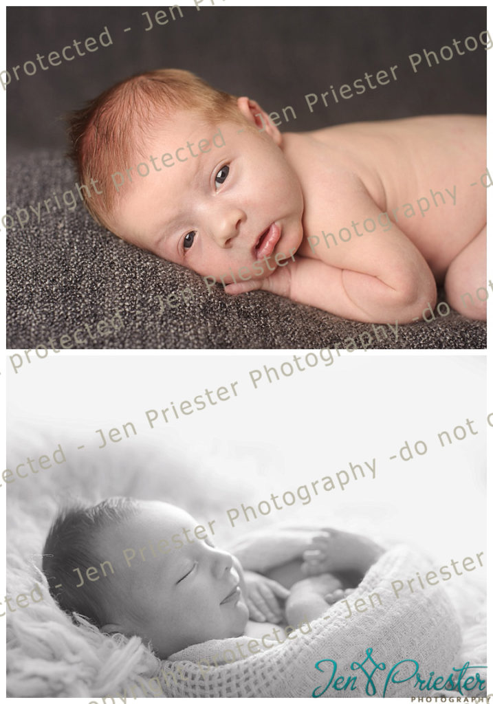 Washington Michigan Newborn Photographer