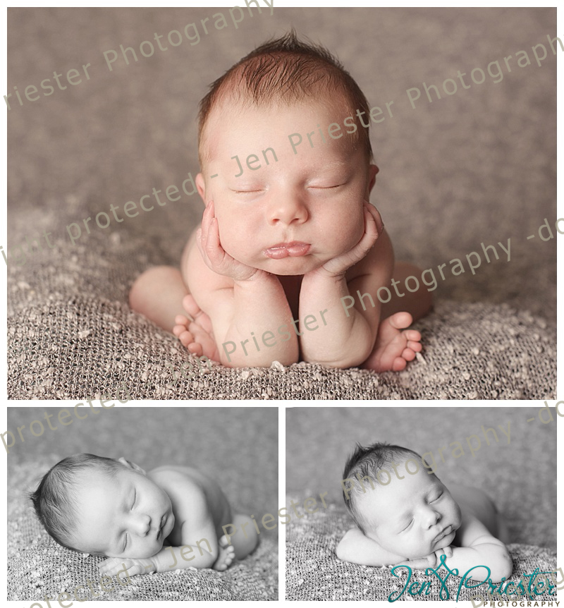 Washington Michigan Newborn Photographer