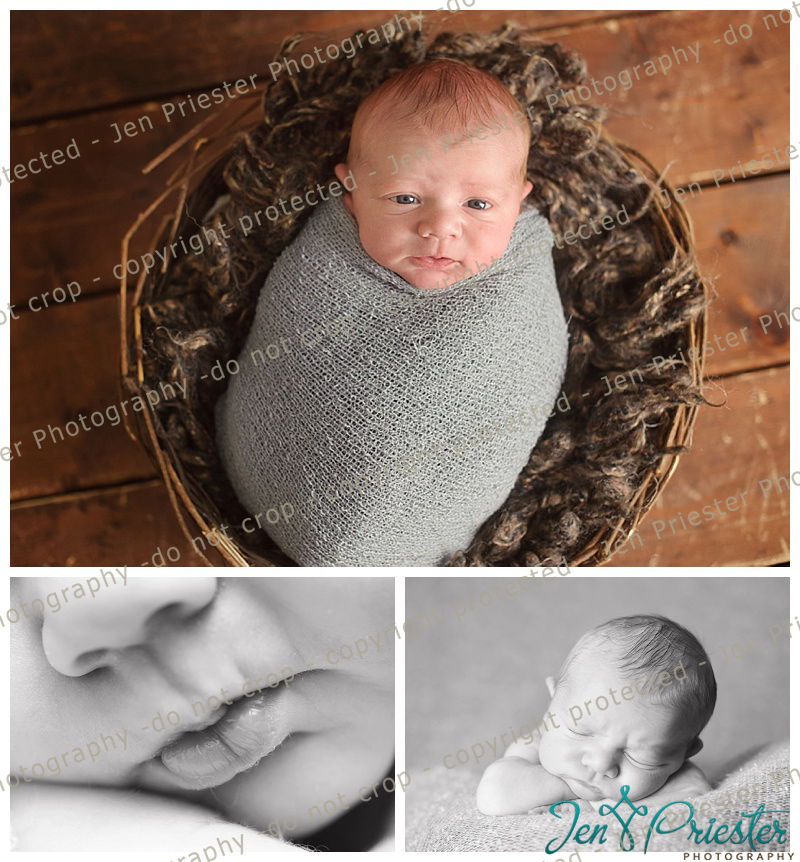 Ann Arbor Michigan Newborn Photographer