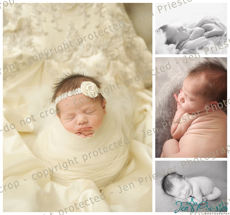 Ann Arbor Michigan Newborn Photographer