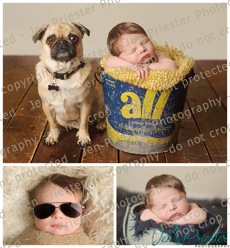 Chesterfield Michigan Newborn Photographer