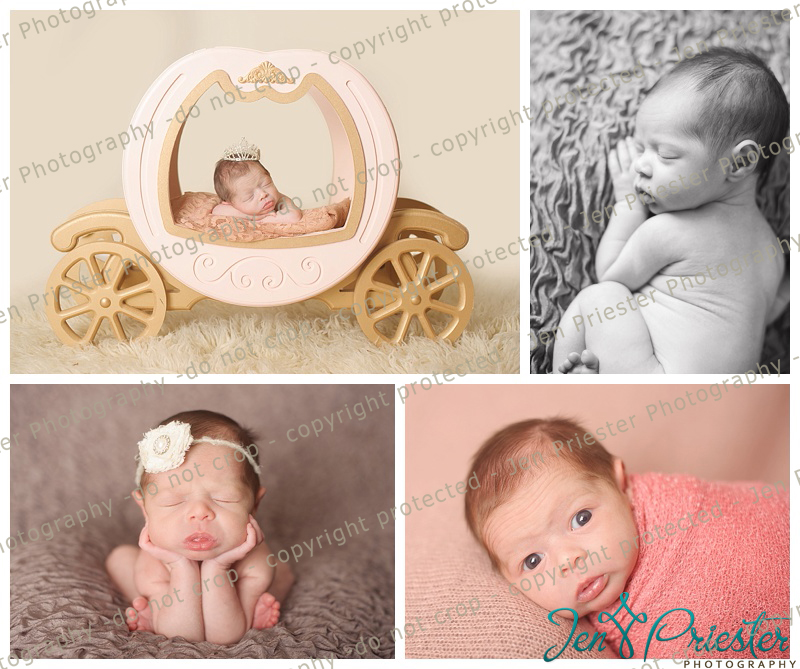Chesterfield Michigan Newborn Photographer 