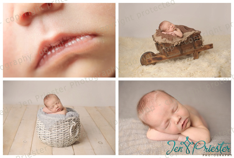 Southeast Michigan Newborn Photographer 