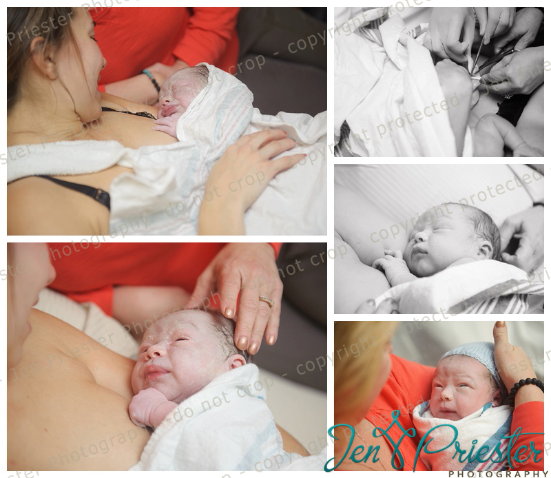 Royal Oak Michigan Newborn Birth Photographer 