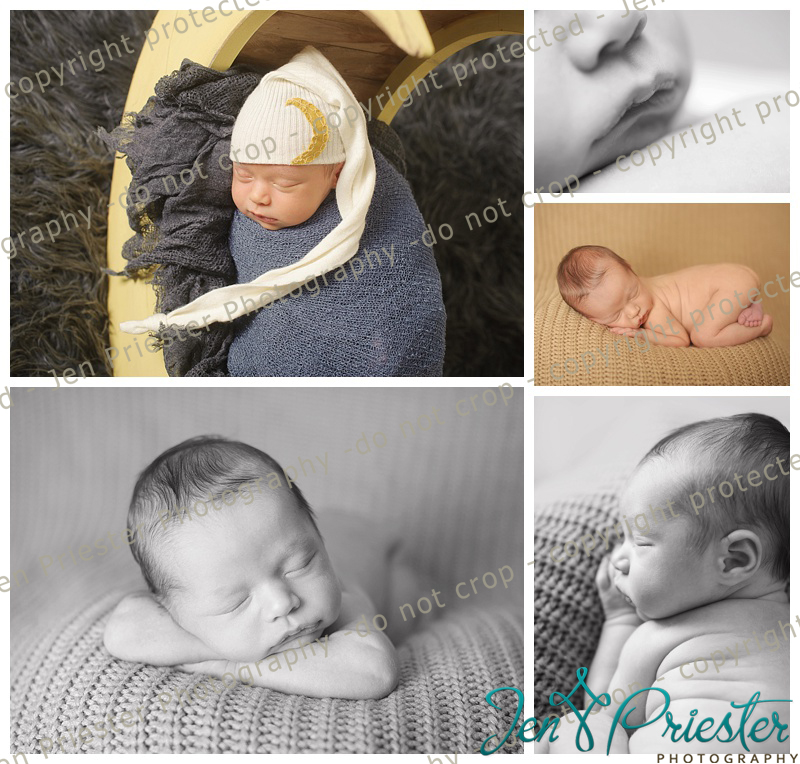Washington Township Michigan Newborn Photographer 