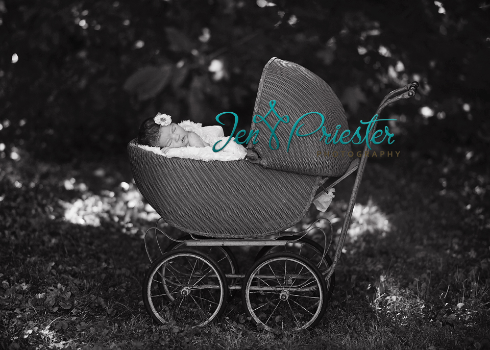 Ann Arbor newborn portraits