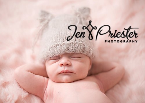 Royal Oak Michigan Newborn Photographer