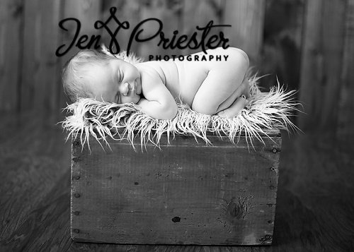 Michigan Newborn Photography Royal Oak