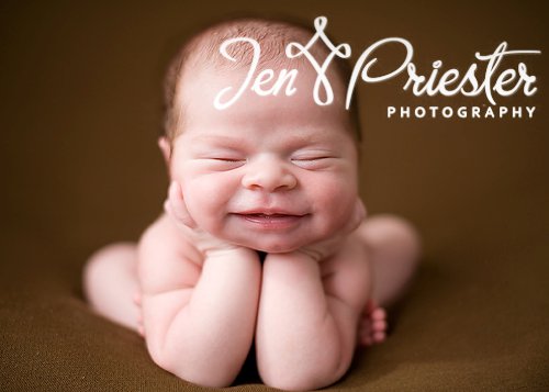 michigan newborn photography