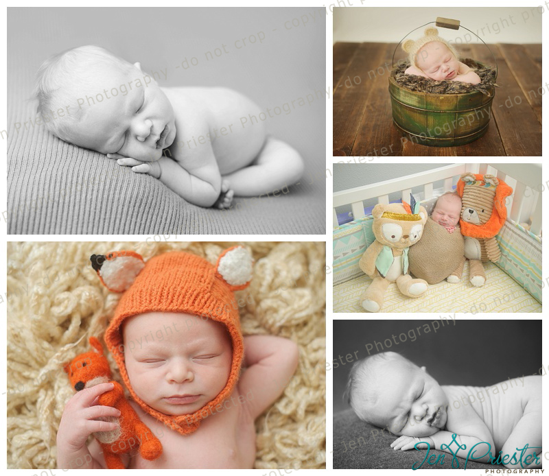 Ann Arbor Mi Newborn Photographer