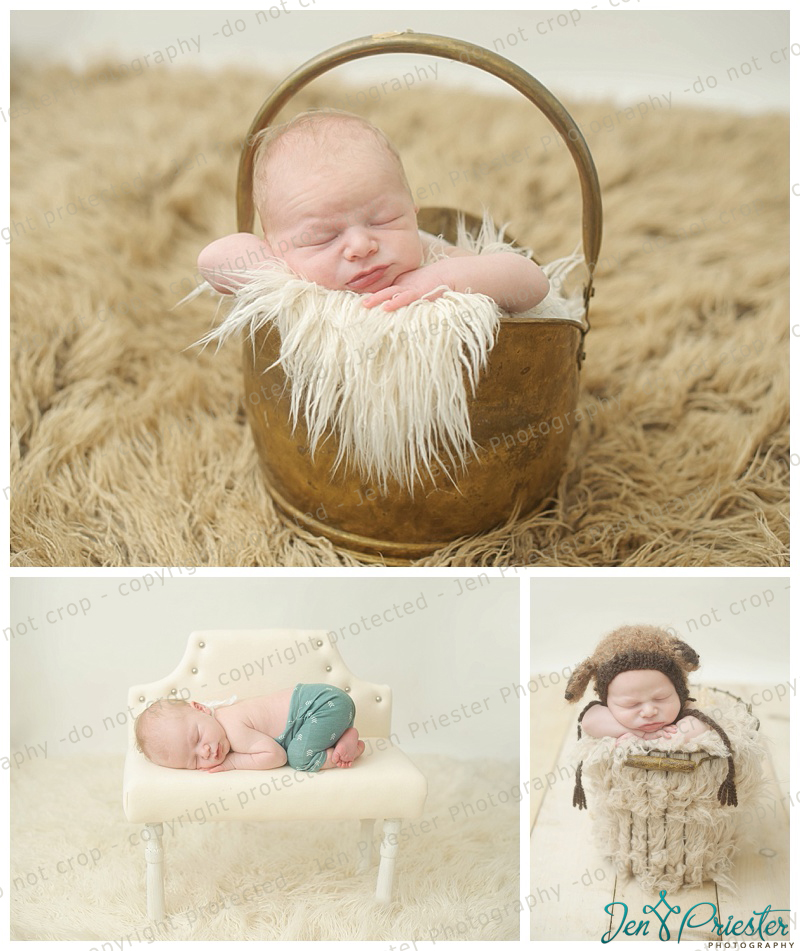 Ann Arbor Mi Newborn Photographer