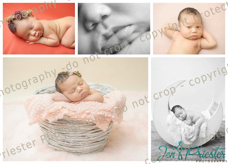 Birmingham Michigan Newborn Photography