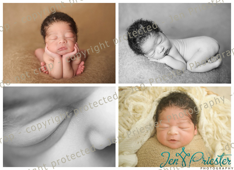 Macomb Michigan Newborn Photographer