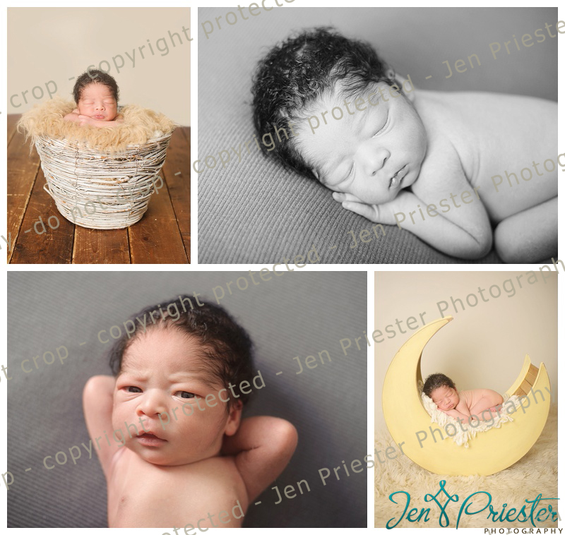 Macomb Michigan Newborn Photographer