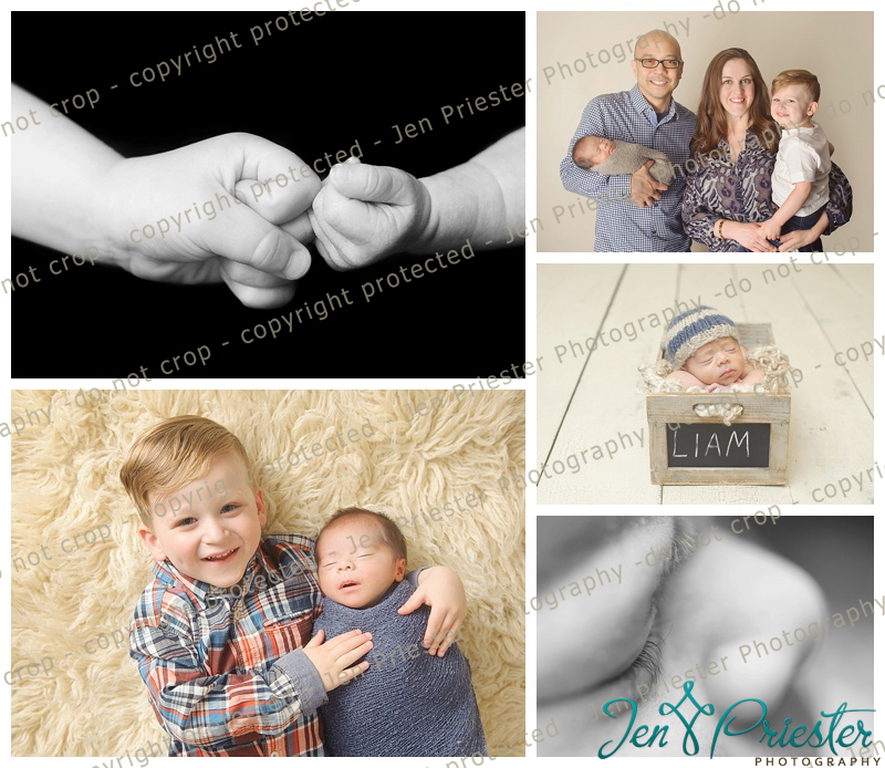 Macomb Newborn Photographer