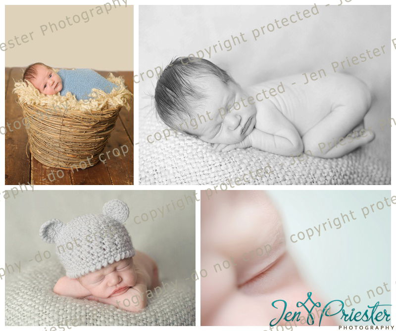 Royal Oak Newborn Photographer