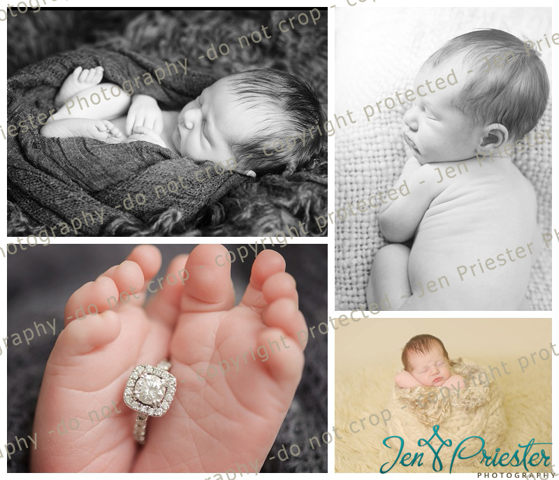 Royal Oak Michigan Photographer