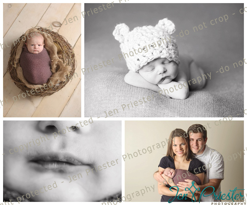 Novi Michigan Newborn Photographer