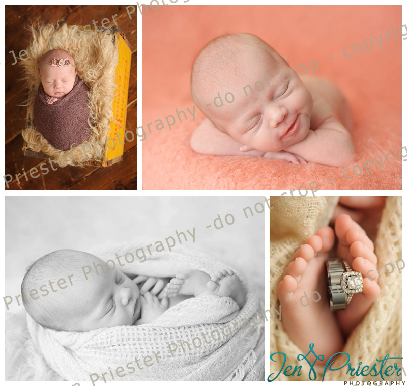 Southfield Michigan Newborn Photographer 
