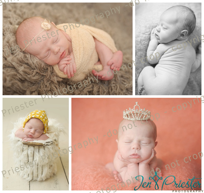 Southfield Michigan Newborn Photographer 