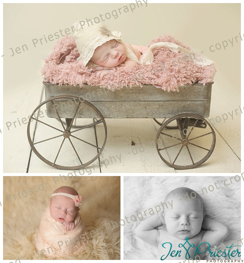 Southfield Michigan Newborn Photographer 
