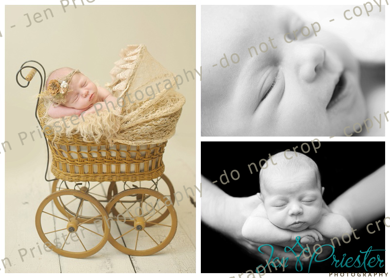 Southfield Michigan Newborn Photographer 